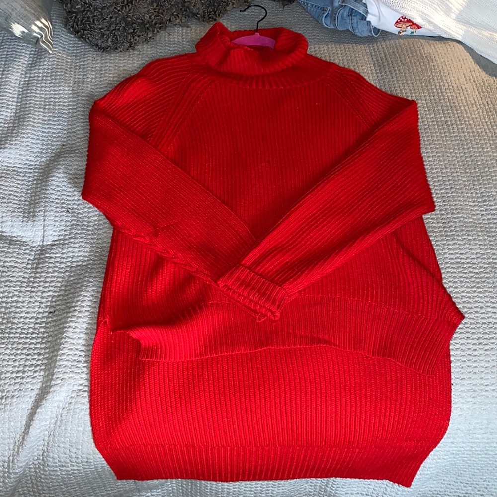 Turtleneck sweater Aritzia